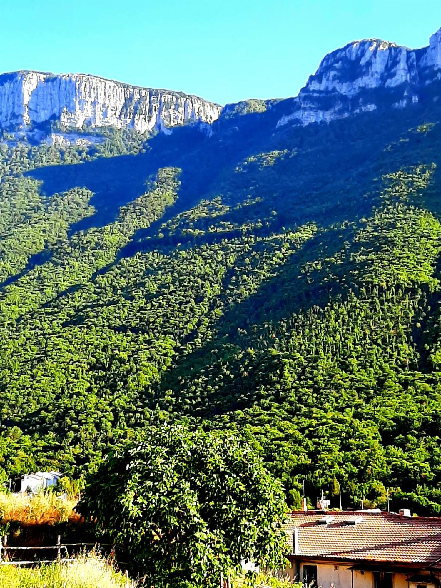 Sapori E Sapere Di Troisi Margherita Sicignano degli Alburni Exterior foto